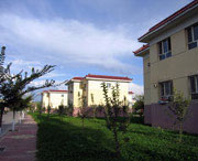 伽师后天天气