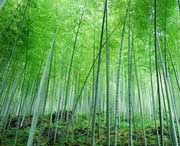 宜兴明天天气